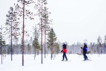 Tour combinado de raquetas de nieve y pesca en hielo en Ivalo